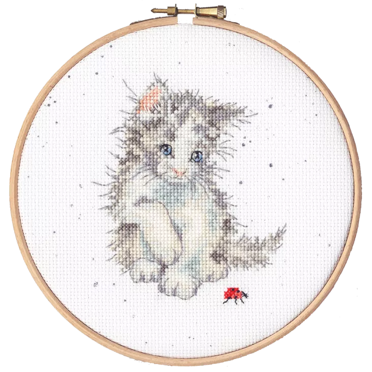 (image for) Ladybird